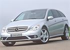 Picture for category R Class W251 2005-2011